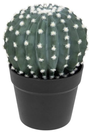 Atmosphera - Cactus Rond Exotic Panama h25cm Vert