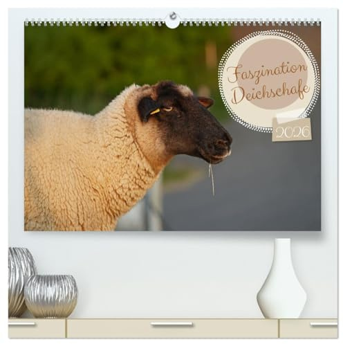Faszination Deichschafe (hochwertiger Premium Wandkalender 2026 DIN A2 quer), Kunstdruck in Hochglanz: Tierisch süße Rasenmäher an der Nordseeküste (CALVENDO Tiere)