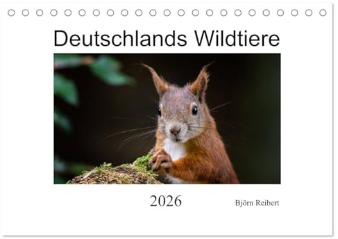Deutschlands Wildtiere (Tischkalender 2026 DIN A5 quer), CALVENDO Monatskalender: Die wunderschöne Tierwelt Deutschlands in Bildern (CALVENDO Tiere)