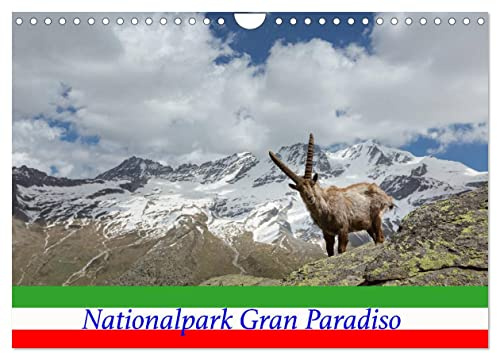Nationalpark Gran Paradiso (Wandkalender 2026 DIN A4 quer), CALVENDO Monatskalender: Bilderreise zum Gran Paradiso, dem ersten Nationalpark Italiens ... des Alpensteinbocks. (CALVENDO Natur)