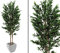 kunstpflanzen-discount.com Olivenbaum, 2-stämmig, mit Oliven, 250cm - Günstiger hochwertiger Oliven Kunstbaum