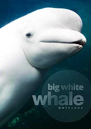 Big White Whale Notebook | 700 Lined Pages: 8.27 x 11.69 in, with Table of Contents and Page Numbers, Golding’s Large Journal Series