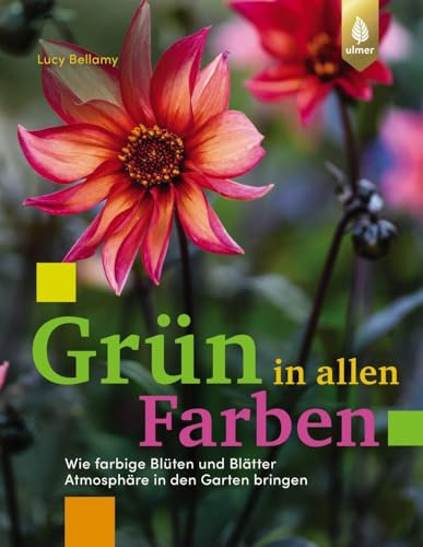 Grün in allen Farben: Wie farbige Blüten und Blätter Atmosphäre in den Garten bringen