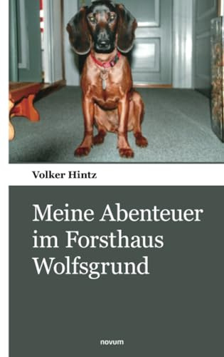 Meine Abenteuer im Forsthaus Wolfsgrund