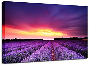 HYFBH Stampa su Tela Decorazioni per la casa Stampe HD 1 Pezzo/pz Campi di Lavanda Poster Tramonto Bagliore Viola Paesaggio Immagini Wall Art 24 x32 (60x80cm) Senza Cornice