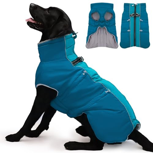 Katzinst Fleece Hundemantel Grosse Hunde, Winddicht Hundejacke mit Reißverschluss Hinten und Rollkragen, Perfekt für Kalte Wintertage, Hundemantel Labrador, Dobermann, Grün, 2XL