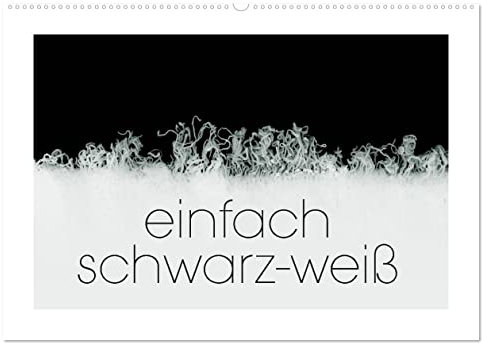 einfach schwarz-weiß (Wandkalender 2025 DIN A2 quer), CALVENDO Monatskalender