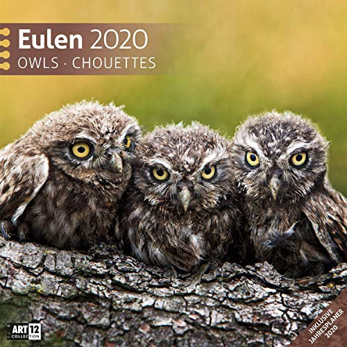 Eulen 2020: Owls; Chouettes