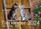 Tierkinder auf dem Bauernhof Kalender 2024: Der Tierkalender mit den charmanten Namen. Wandkalender Tierbabys