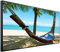Ecowelle Infrarotheizung mit Bild | 750 Watt | 60x120 cm | Infrarot Heizung| | Made in Germany| d 15 Hängematte unter Einer Palme