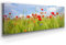 Panorama Leinwand Mohn im Sommer - als 150x50cm großes XXL Leinwandbild. Wandbild als Hintergrund und Deko für Wohnzimmer & Schlafzimmer. Aufgespannt auf Holzrahmen