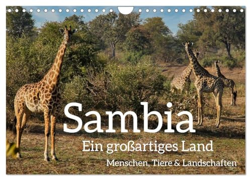 Sambia - ein großartiges Land (Wandkalender 2026 DIN A4 quer), CALVENDO Monatskalender: Sambia ist ein großartiges, touristisch noch wenig ... Tieren und Landschaften. (CALVENDO Orte)