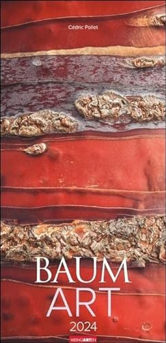 Baum Art Kalender 2024. Lebende Kunstwerke: Bäume mit ungewöhnlichen Rinden, fotografiert von dem französischen Naturfotografen Cédric Pollet. Länglicher Kalender.