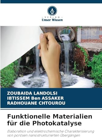 Funktionelle Materialien für die Photokatalyse: Elaboration und elektrochemische Charakterisierung von porösen nanostrukturierten Übergängen