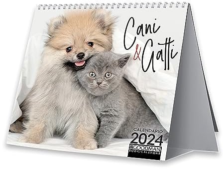 Cani & gatti. Calendario 2024. Pocket