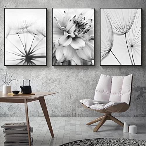 Trayosin 3-teiliges Premium Poster Set Aesthetic Blume Schwarz Weiß Feder Löwenzahn Bilder Moderne Wandbilder, Wohnzimmer Schlafzimmer Wanddeko Art ohne Rahmen (B,40x60cm)
