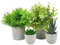 Surplex 4 Piezas Plantas Artificiales Decorativas Planta Falsa en Macetas, Planta Plastico Pequeña, Eucalipto, Romero, Suculentas Artificiale Interior para Casa Baño Oficina Mesa Decoración