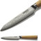 CLASSE ITALY Coltello Multiuso cm 12 in Acciaio Giapponese AUS 10 a 67 strati, Affilato a mano, Manico in Olivo, Panno pulizia incluso