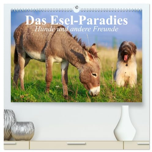 Das Esel-Paradies - Hunde und andere Feunde (hochwertiger Premium Wandkalender 2025 DIN A2 quer), Kunstdruck in Hochglanz