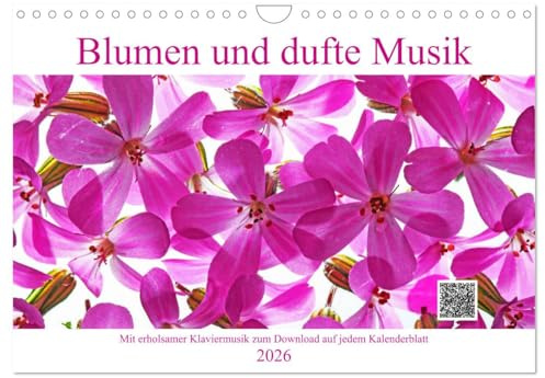 Blumen und dufte Musik (Wandkalender 2026 DIN A4 quer), CALVENDO Monatskalender: Mit erholsamer Klaviermusik zum Download auf jedem Kalenderblatt (CALVENDO Natur)