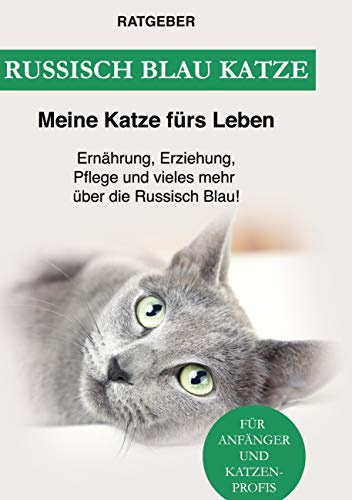 Russisch Blau Katze: Ernährung, Erziehung, Pflege, Charakter und vieles mehr über die Russisch Blau!