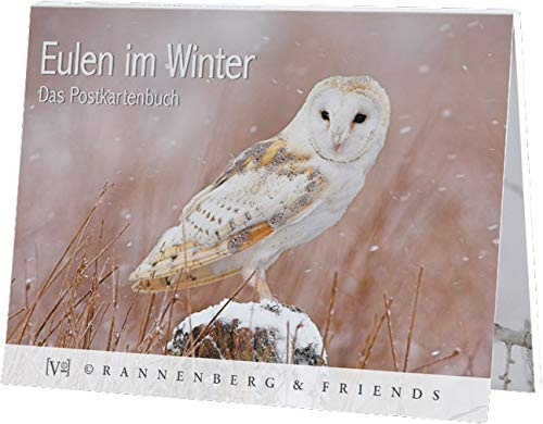Postkartenbuch EULEN IM WINTER * Buch mit 14 Karten