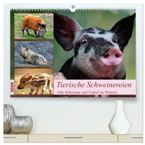 Tierische Schweinereien (hochwertiger Premium Wandkalender 2026 DIN A2 quer), Kunstdruck in Hochglanz: Alte Schweine und Ferkel im Portrait (CALVENDO Tiere)