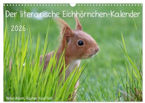Der literarische Eichhörnchen-Kalender (Wandkalender 2026 DIN A3 quer), CALVENDO Monatskalender: Positive Sprüche mit passenden Fotos von Eichhörnchen. (CALVENDO Tiere)