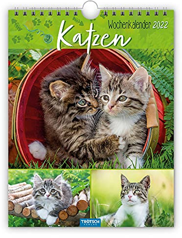 Trötsch Wochenkalender Katzen 2022: Wandkalender