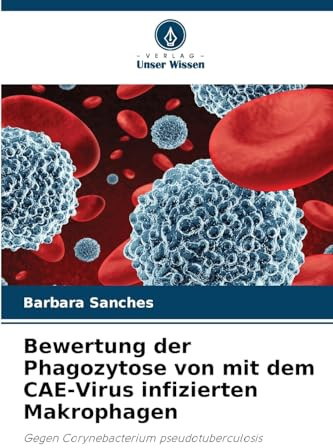 Bewertung der Phagozytose von mit dem CAE-Virus infizierten Makrophagen: Gegen Corynebacterium pseudotuberculosis