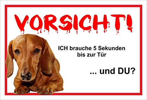 Melis-Folienwerkstatt Schild Warnschild Dackel Vorsicht freilaufender Hund – Achtung – 5 Sekunden bis zur Tür – 20x30cm – S24F