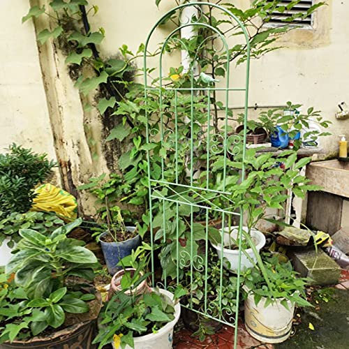 LYXWGRZD Garten Rankhilfe aus Metall,Garten Obelisk Rankgitter for den Innen- und Außenbereich,dekorativer Zaun aus Eisenkunst,für Kletterpflanzen,Blumen/Gemüse/Obst/Reben