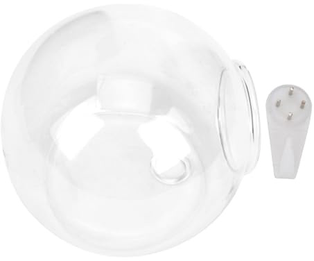 DIYEAH Transparente Glasvase Hängende Glasblumenhalter Glasblumentopf für Hydrokultur Sukkulenten Deko Pflanzgefäß 11,5x12cm für Wohnzimmer Schlafzimmer Badezimmer