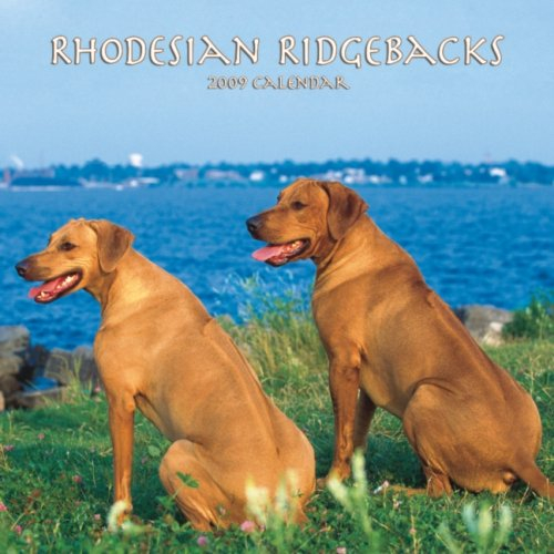 Rhodesian Ridgebacks 2009