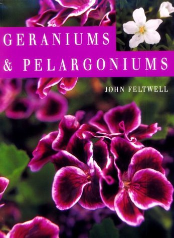Geraniums & Pelargoniums
