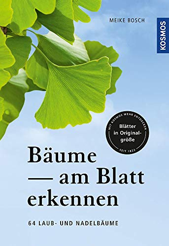 Bäume am Blatt erkennen: 64 Laub- und Nadelbäume. Blätter in Originalgröße