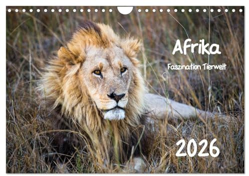 Afrika - Faszination Tierwelt (Wandkalender 2026 DIN A4 quer), CALVENDO Monatskalender (CALVENDO Tiere)