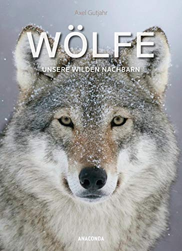 Wölfe. Unsere wilden Nachbarn: Herkunft, Entwicklung, Jagd- und Sozialverhalten des bedrohten Rudeltiers ǀ Faszination Wolf in Mythen & Märchen
