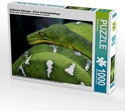CALVENDO Puzzle Gefährliche Schlangen - Grüner Hundskopfschlinger 1000 Teile Puzzle quer | 1000 Teile Lege-Größe 64 x 48 cm Foto-Puzzle für glückliche Stunden