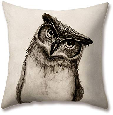 Hengjiang Kissen Cute Cartoon Vogel Eule Druck 18 x 18/45 x 45 cm Doppelseitig Überwurf Weich Plüsch Kissen für Home Sofa Bett Deko, Polyester, 06, 45 cm*45 cm