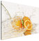 Estika Leinwand bilder - Orange im Wasser - 120x80 cm, 1 teilige kunstdruck - Wandbilder wohnzimmer, schlafzimmer, Moderne wanddeko, Bild auf leinwand - Küche, Restaurant bilder - 5032A_1B