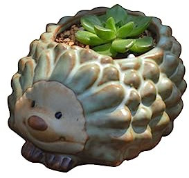 Gogogmee Jardinières D'intérieur Mini Pot De Fleurs en Céramique - Pots De Plantes Mignons et Créatifs en Forme D'animal - Ornements Grande Taille