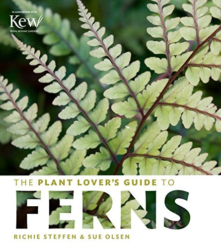 The Plant Lover's Guide to Ferns (Plant Lover's Guides)