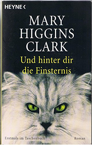 Und hinter dir die Finsternis: Roman