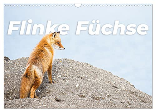 Flinke Füchse (Wandkalender 2026 DIN A3 quer), CALVENDO Monatskalender: Die schlauen und flauschigen Jäger. (CALVENDO Orte)