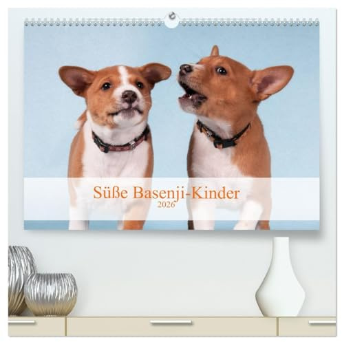 Süße Basenji-Kinder (hochwertiger Premium Wandkalender 2026 DIN A2 quer), Kunstdruck in Hochglanz: Entzückende Basenji-Welpen, Monat für Monat (CALVENDO Tiere)