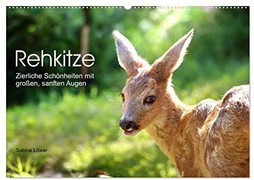 Rehkitze, zierliche Schönheiten mit großen, sanften Augen (Wandkalender 2026 DIN A2 quer), CALVENDO Monatskalender: Bezaubernde Nahaufnahmen von Rehkitzen (CALVENDO Tiere)