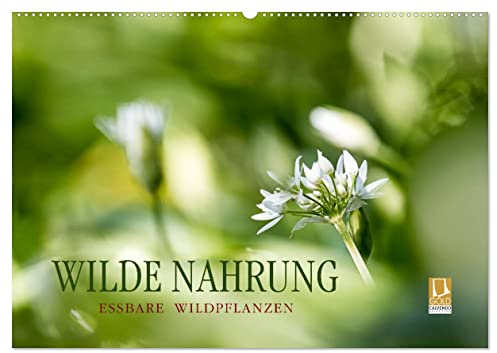 WILDE NAHRUNG (Wandkalender 2026 DIN A2 quer), CALVENDO Monatskalender: Essbare Wildpflanzen: faszinierend, gesundheitsfördernd und artenreich. (CALVENDO Lifestyle)