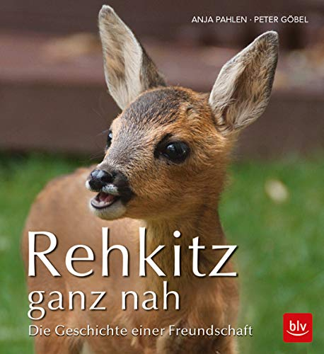 Rehkitz ganz nah: Die Geschichte einer Freundschaft (BLV Natur)