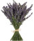TooGet Natürliche Lavendel Bündel, Frisch Geerntete 400 Stämme Getrockneter Lavendel Bouquets 40-45cm Lang, Dekorative Blumenstrauß Für Wohnkultur, Kunsthandwerk, Hochzeit Oder Jede Gelegenheit